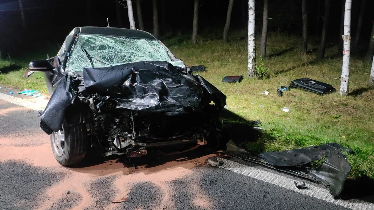 Tragiczny wypadek koło Rydzyny