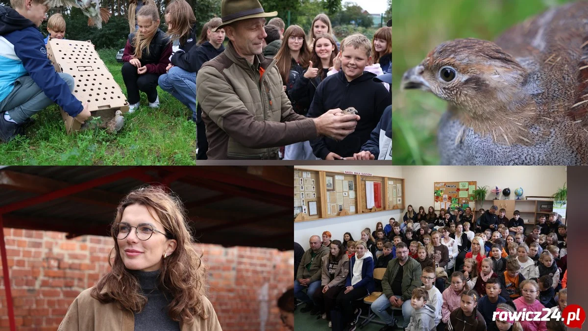 Nauka, pomoc oraz świetna zabawa